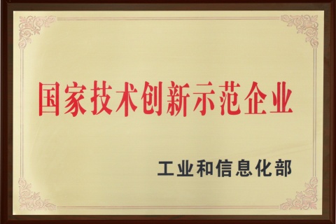 國家技術創(chuàng)新示范企業(yè)